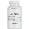 Jointerra