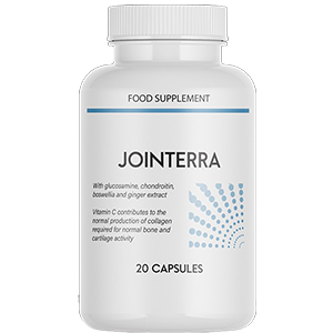 Jointerra